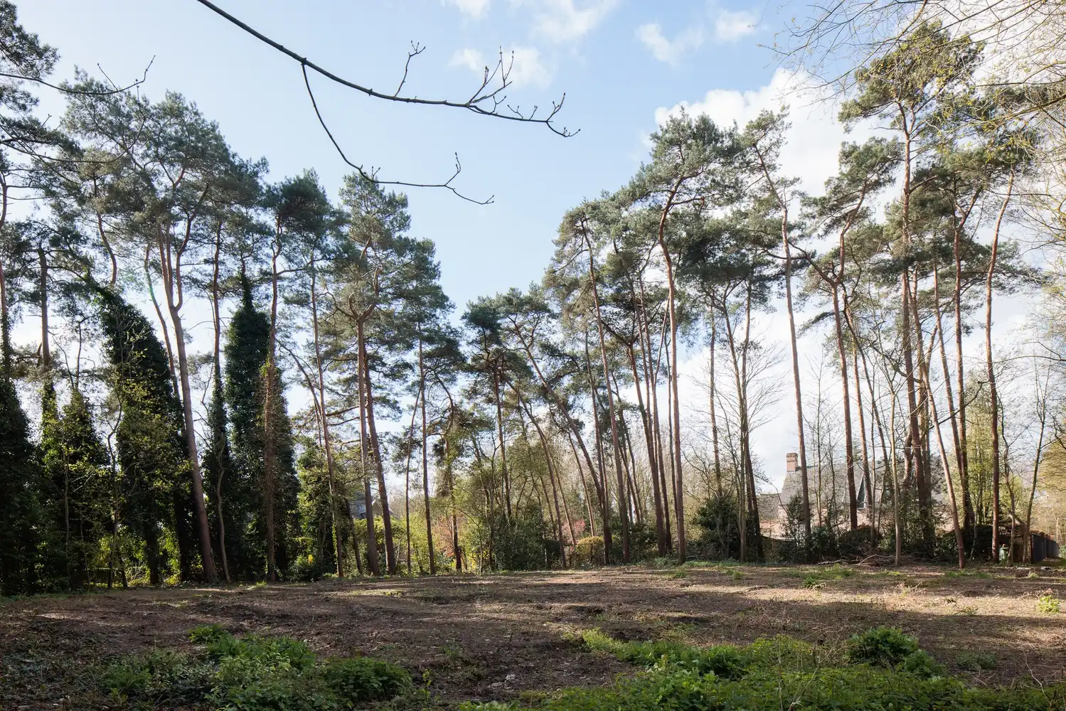 Uitstekend gelegen bouwgrond van ca. 2.993 m2 foto 5