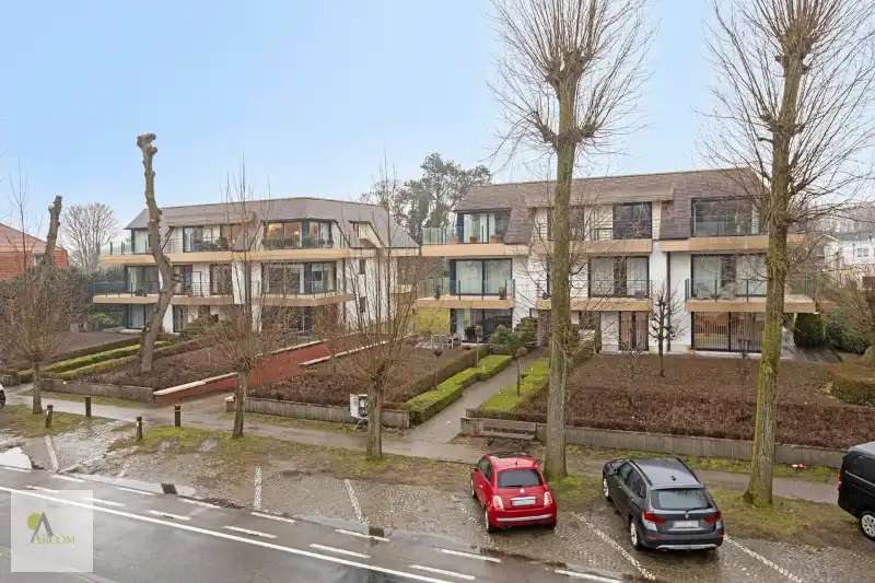 Hoofdfoto van de publicatie: Res. "  VINCENT I  "