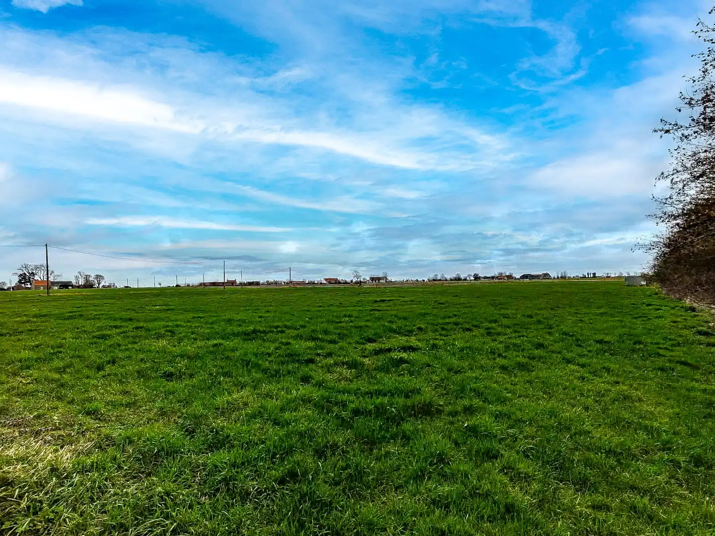 KIJKDAG ZATERDAG 21/03 VAN 10U TOT 12U! foto 26