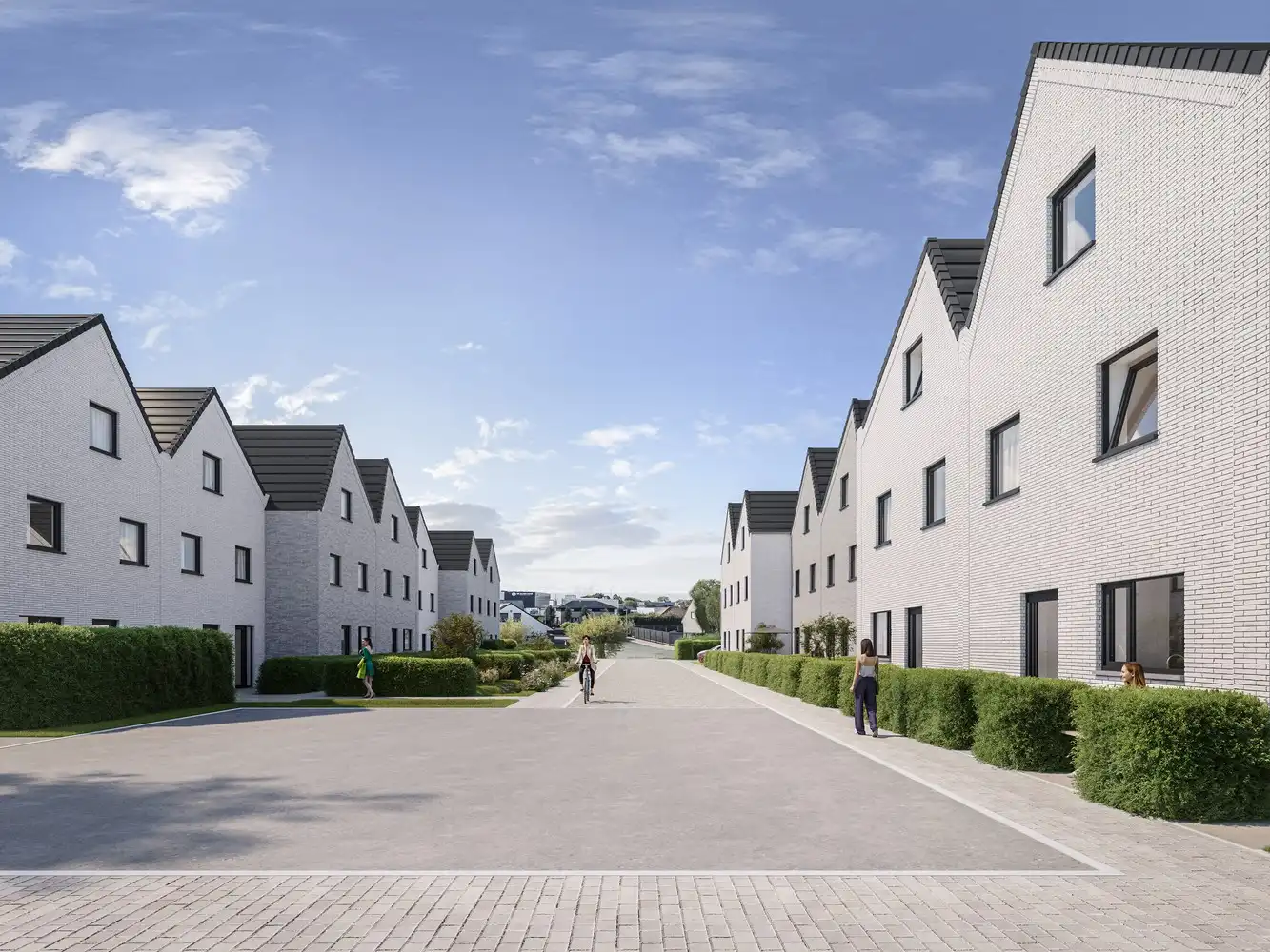 Vierweg: Pastinaakstraat 11 foto 10