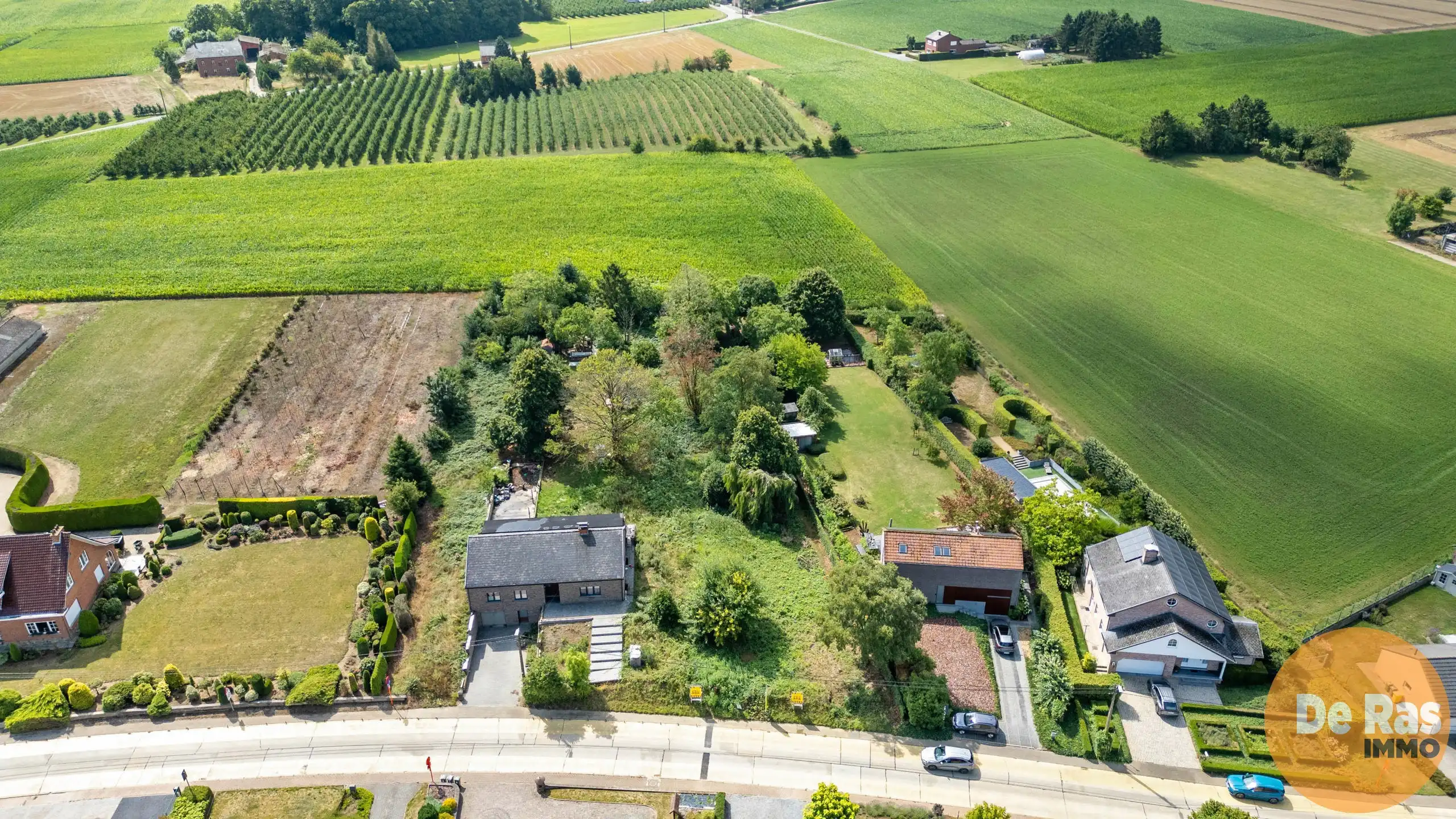 BEKKEVOORT - Zuidgerichte bouwgrond in groene omgeving foto 6