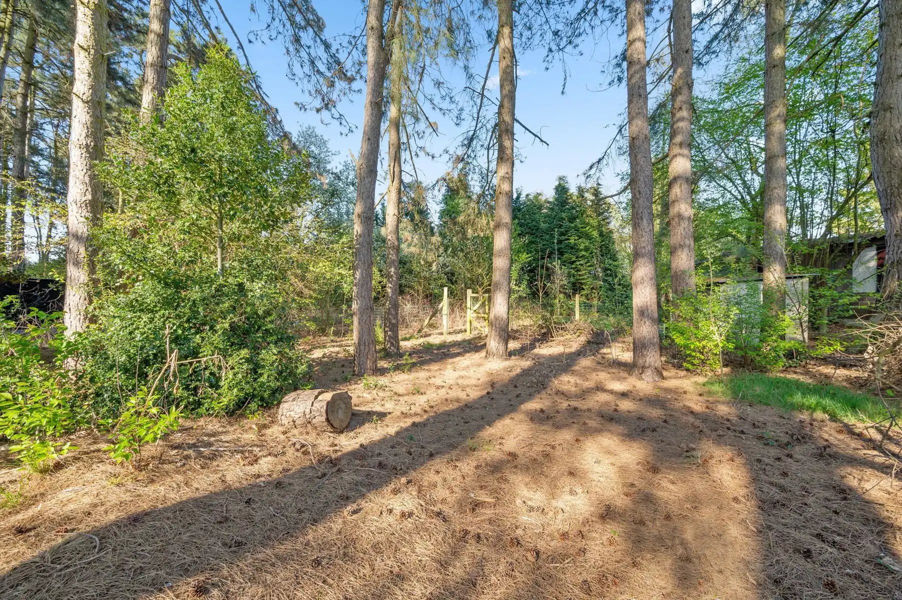 Te renoveren pand met magazijnen te BEERZEL foto 35