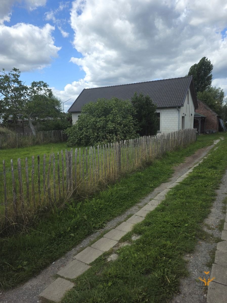 Te huur in Zele – Instapklare, energiezuinige woning met tuin foto 15