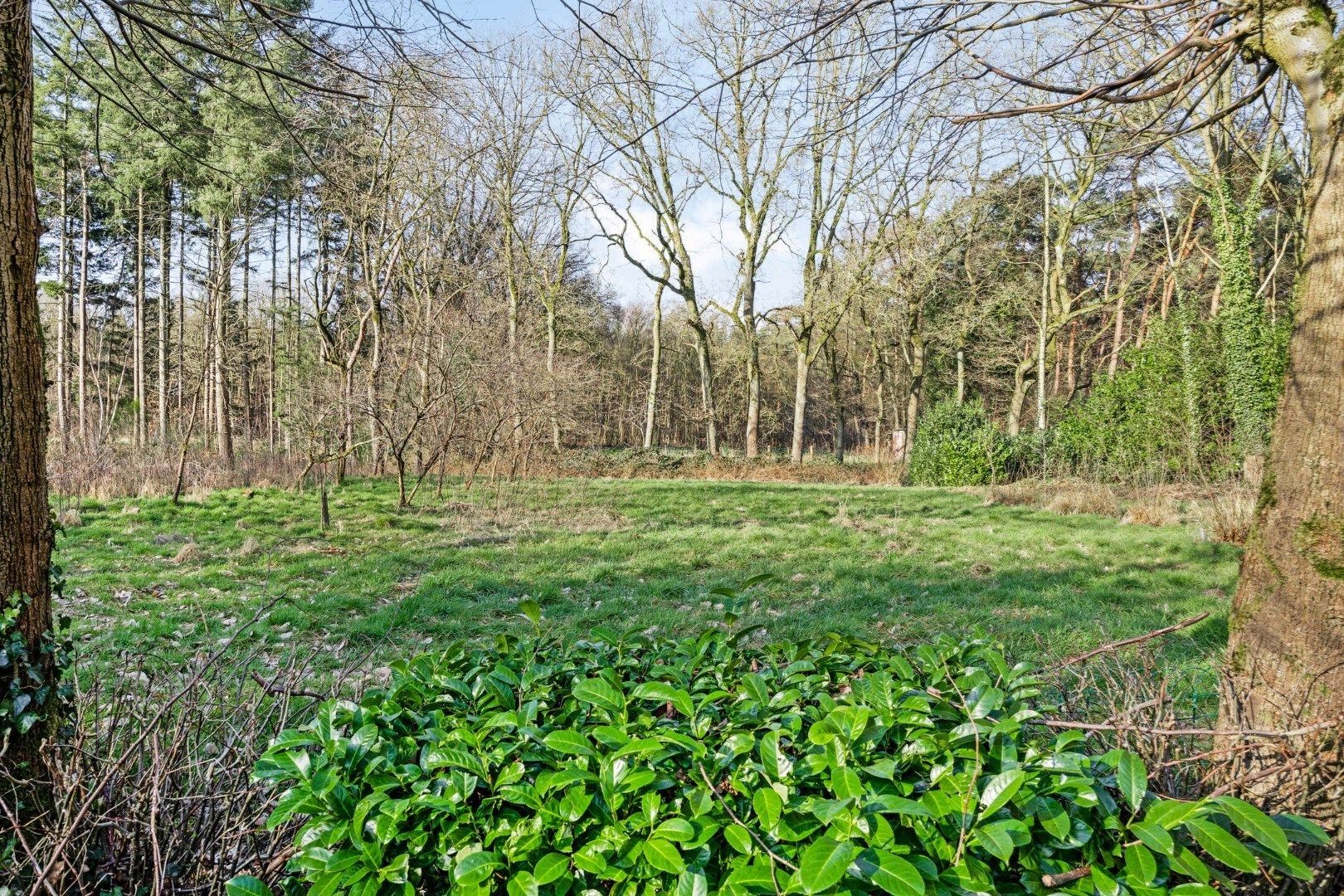 Unieke woonst op 360 are: rust, natuur en eindeloze mogelijkheden! foto 10