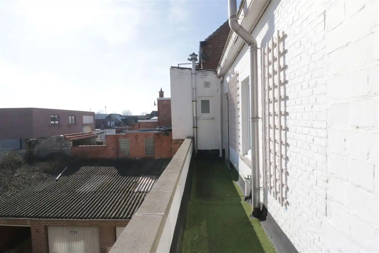 charmant, ruim, mogelijkheid beroep of kangoeroe foto 9