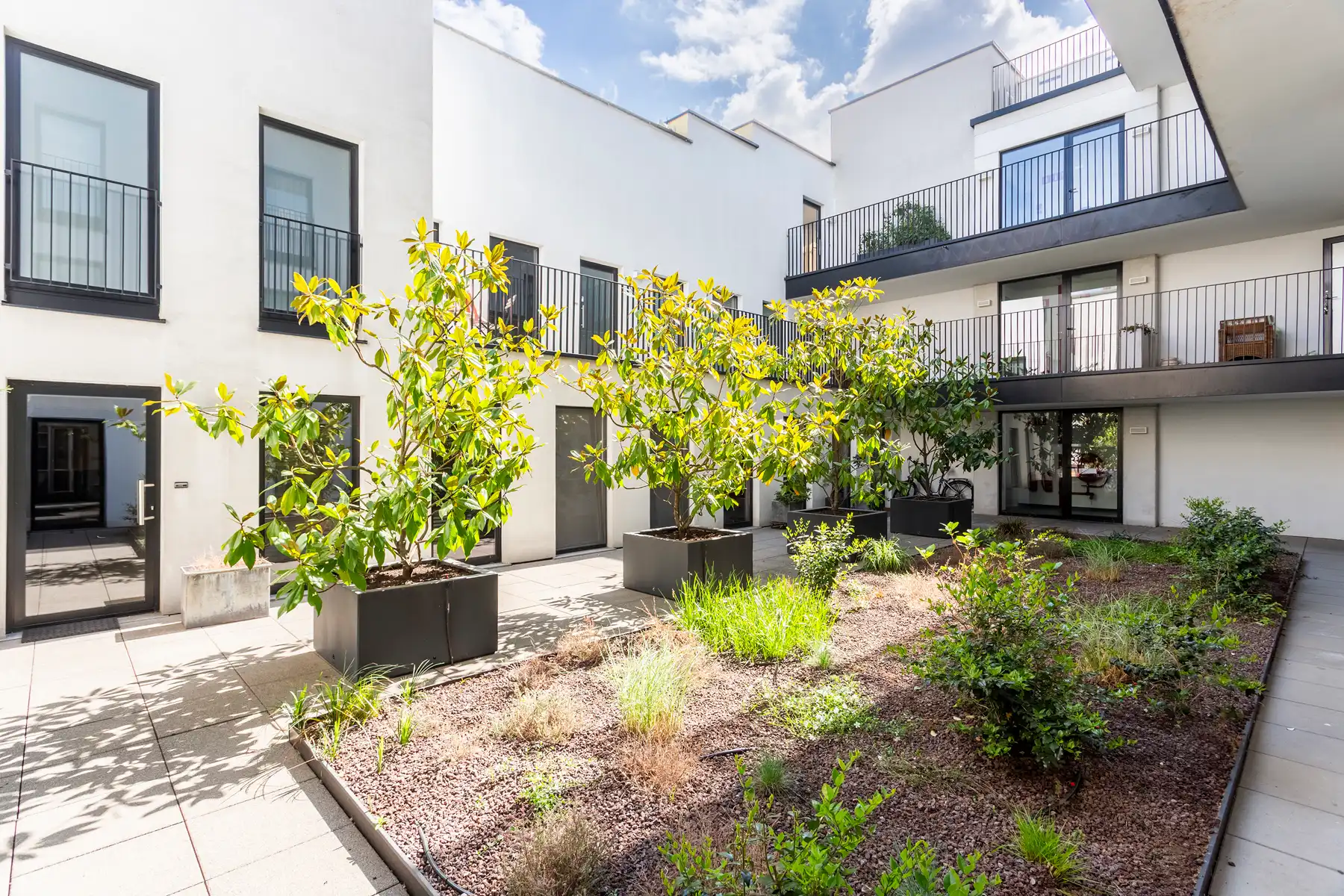 Lichtrijke loft met ruim terras, nabij het Eilandje foto 14