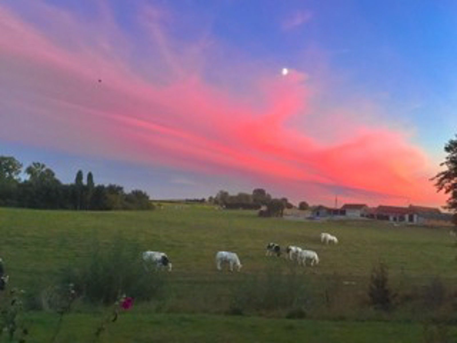 Uitzonderlijk perceel bouwgrond met afgebrande woning foto 9