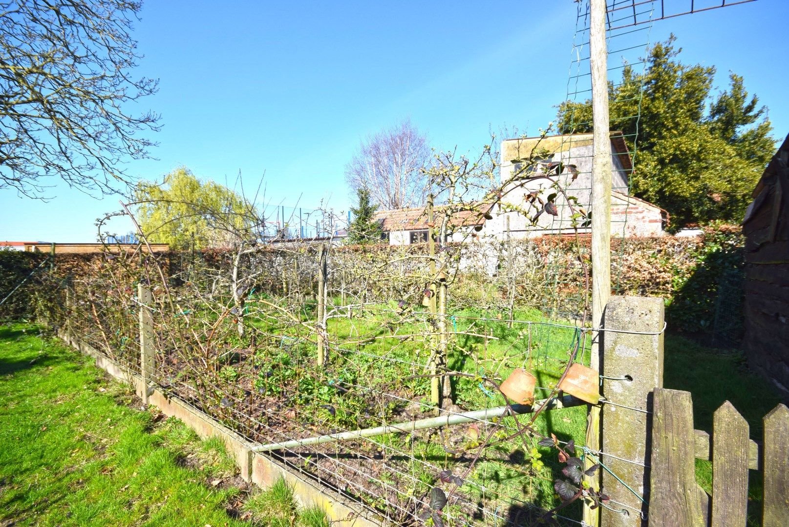 CHARMANTE BUNGALOW MET RUIME TUIN EN BIJGEBOUWEN IN ROESELARE foto 21