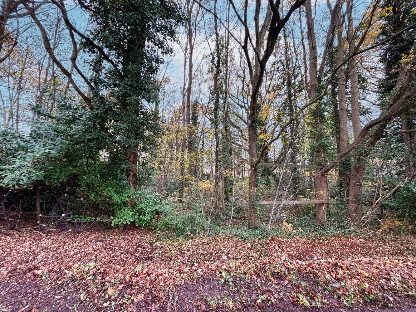 Gronden te koop in Boechout (parkgebied) foto {{pictureIndex}}