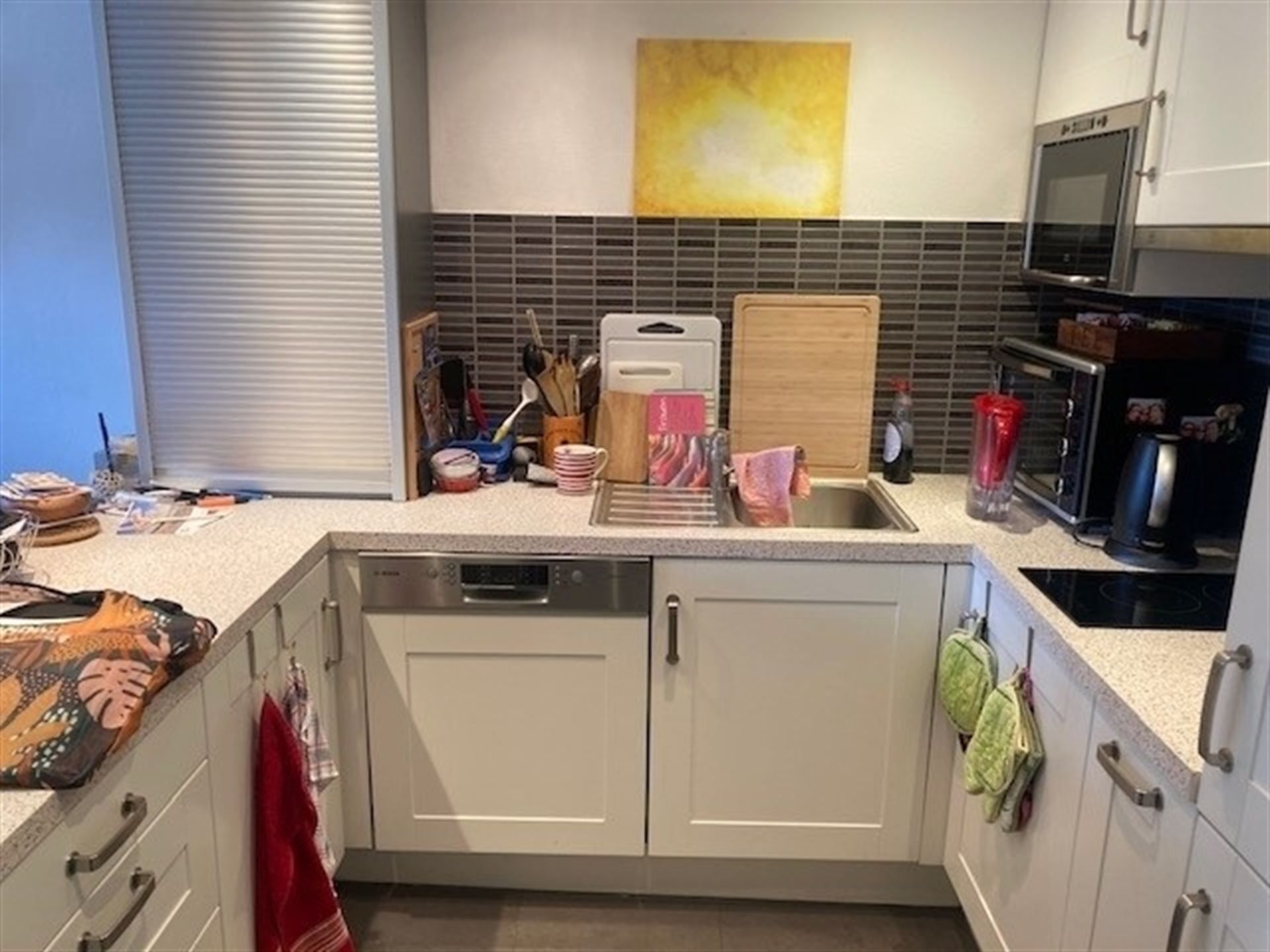 Lichtrijk 1 SK appartement - EU wijk  foto 4