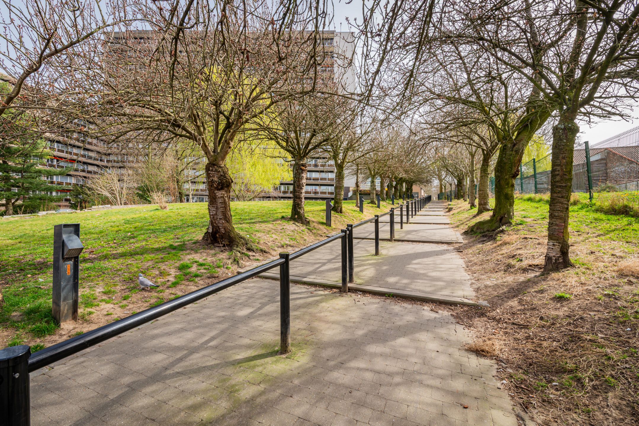 Lichtrijk gelijkvloersappartement met ruim terras in Evere foto 23