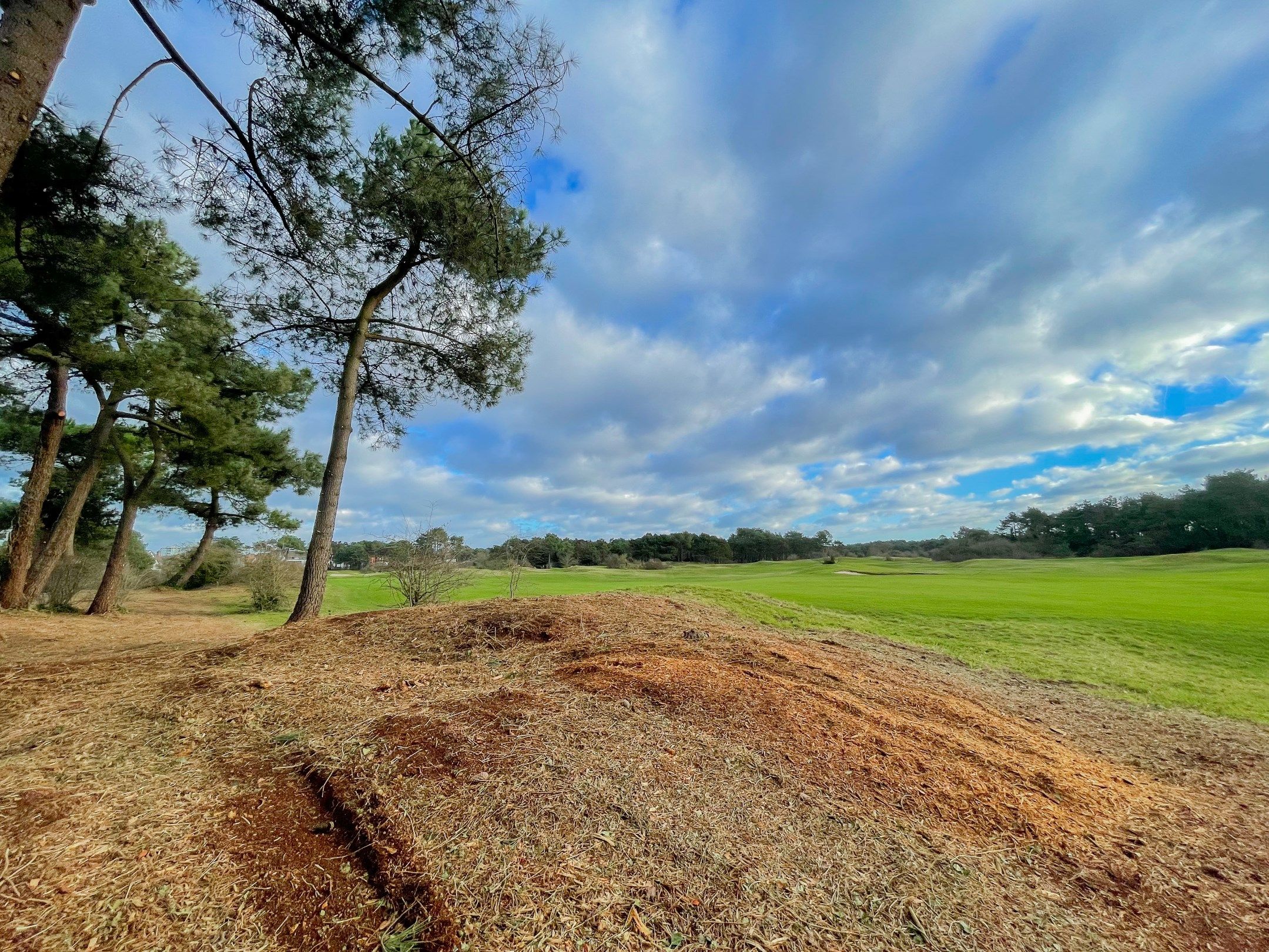 Te renoveren koppelvilla, met uitzicht op de Royal Zoute Golf Club. foto 8