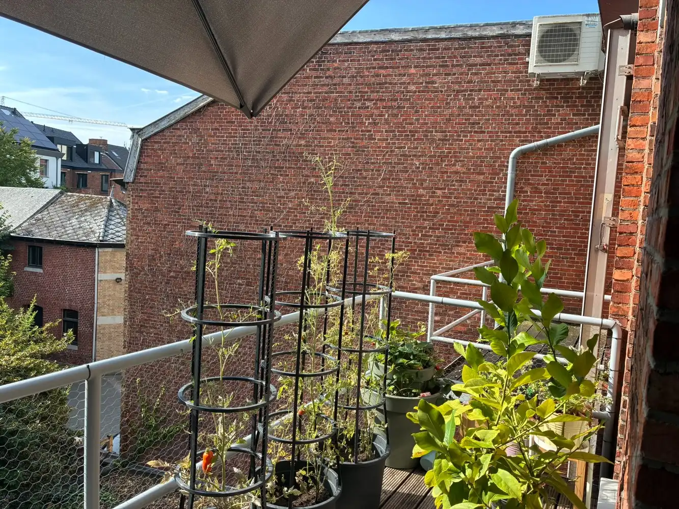 Appartement met terras en gemeenschappelijke tuin op toplocatie in Hasselt foto 13