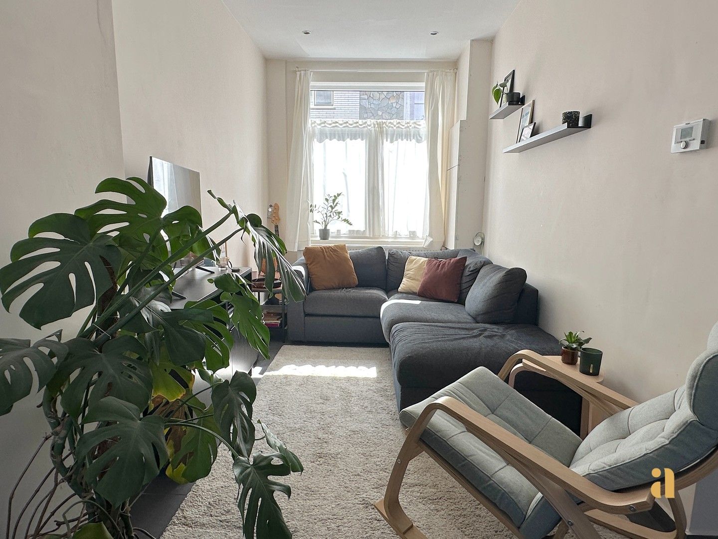 Tuinplezier Alert: onmiddellijk beschikbaar! foto 5
