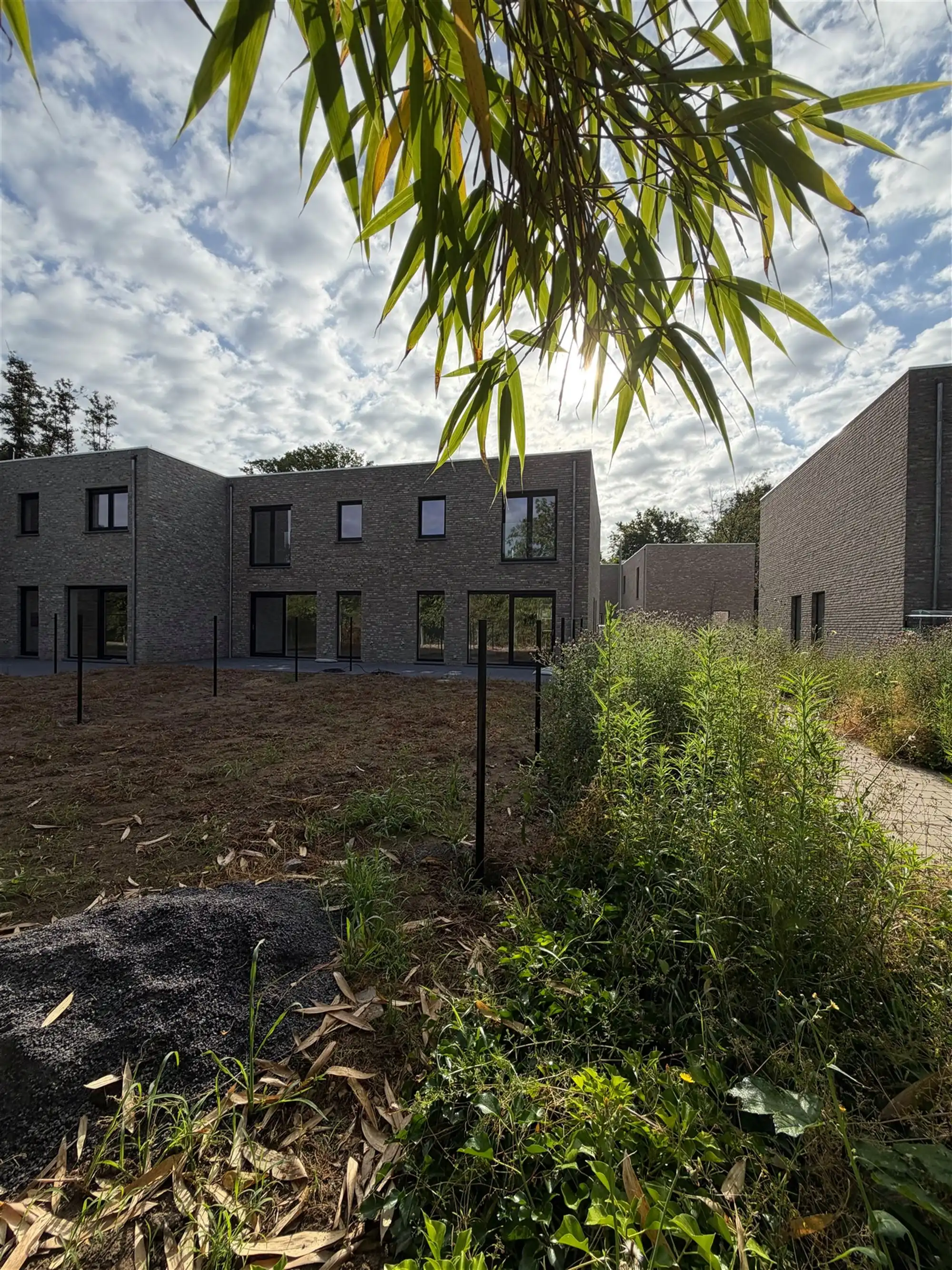 Thuiskomen in het project Beversluis te Rotselaar - LOT 12 foto 4