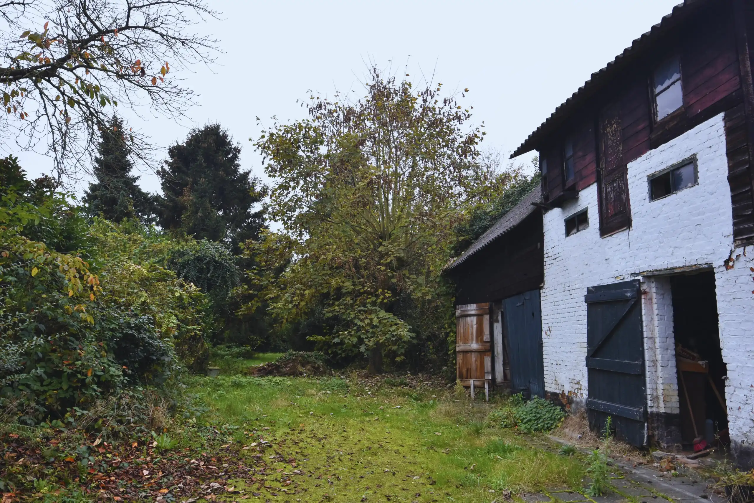 Bouwgrond met af te breken woning & stallen – Landelijk gelegen in Nieuwkerken-Waas foto {{pictureIndex}}
