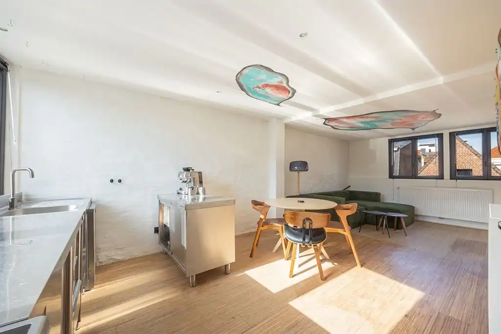 Instapklare duplex met dakterras in hartje Antwerpen foto 2