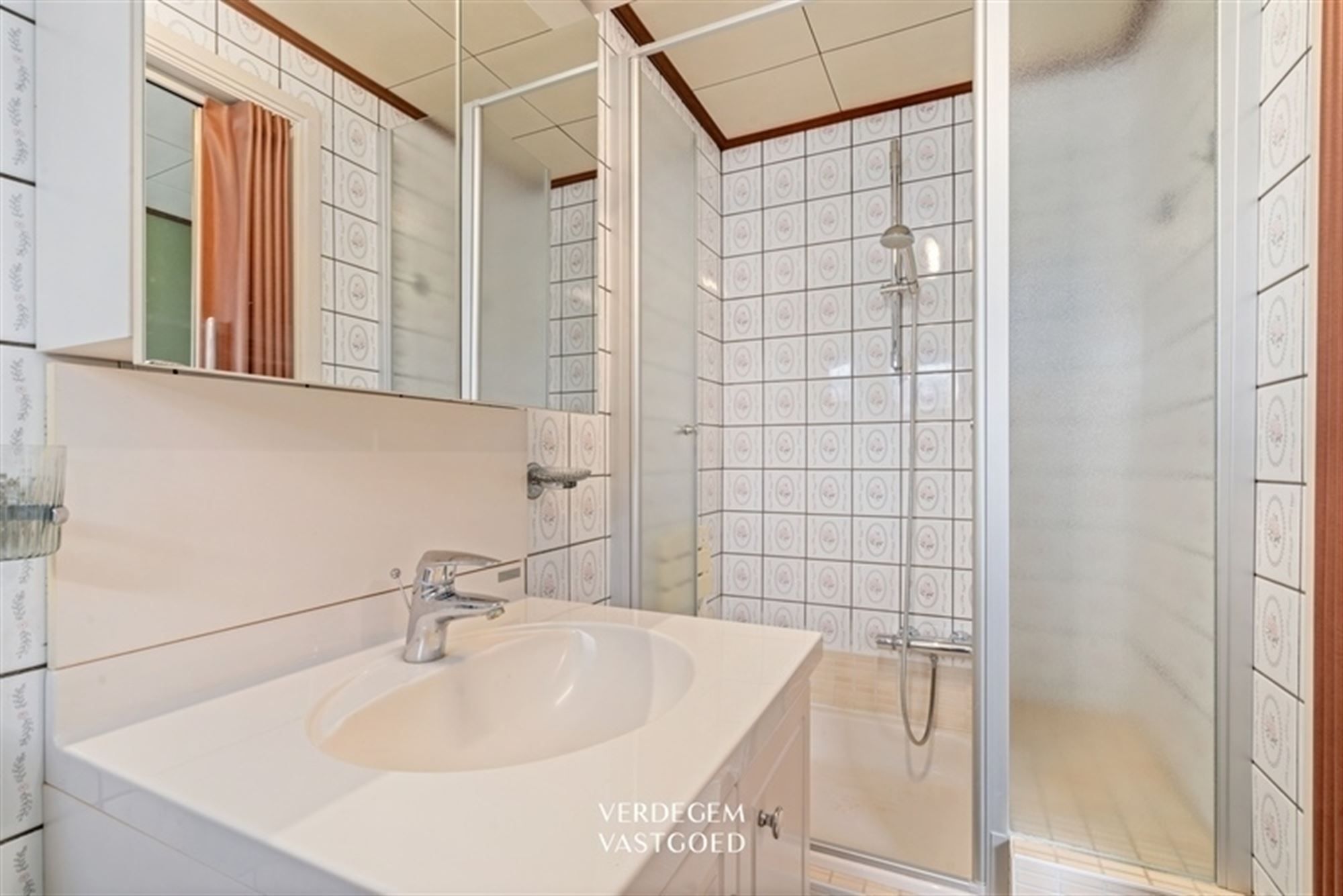 Ruim wonen in een ondernemende omgeving, tussen kanaal en nieuw groen - te renoveren foto 9