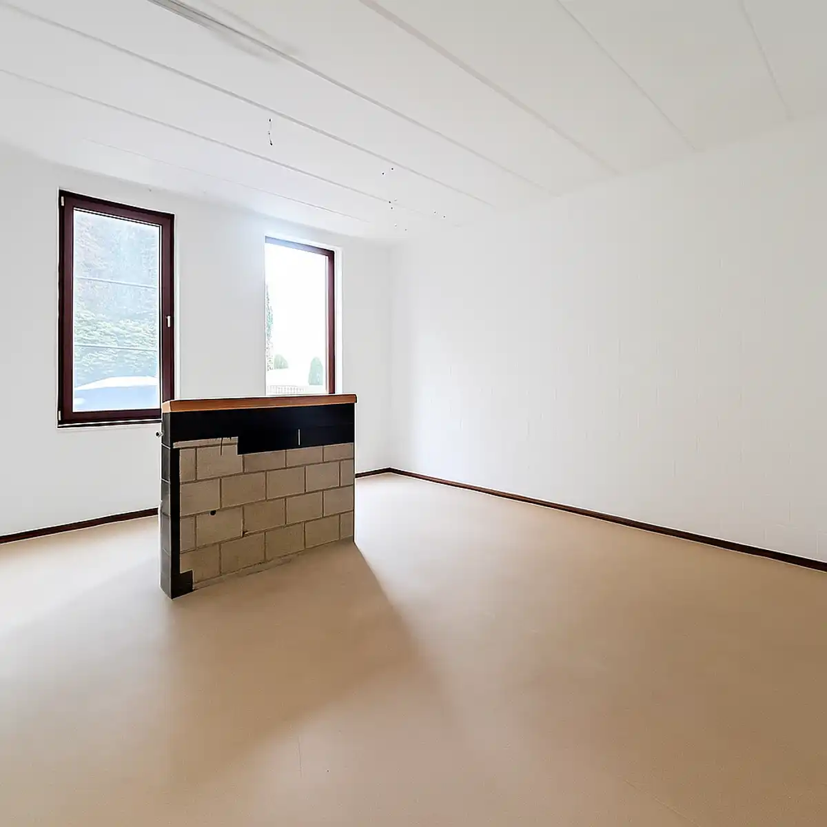 Commercieel te huur foto 3