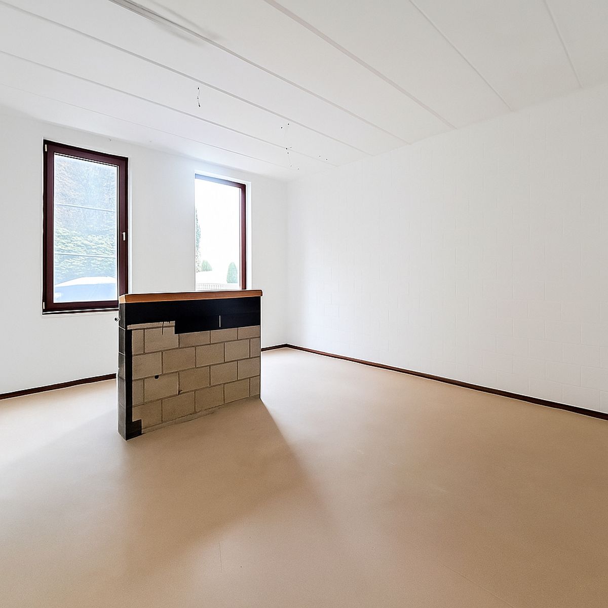 Commercieel te huur foto 3