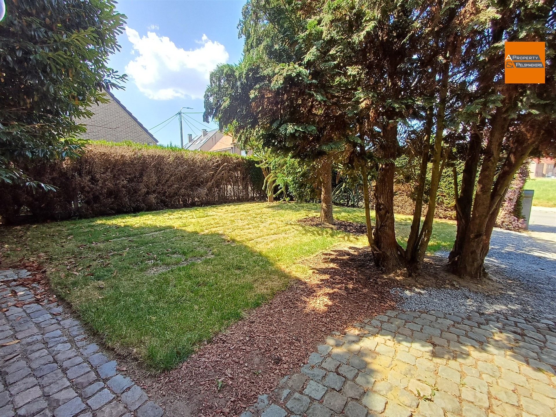 Ruime villa  met 5 slpk, garage en grote tuin foto 2