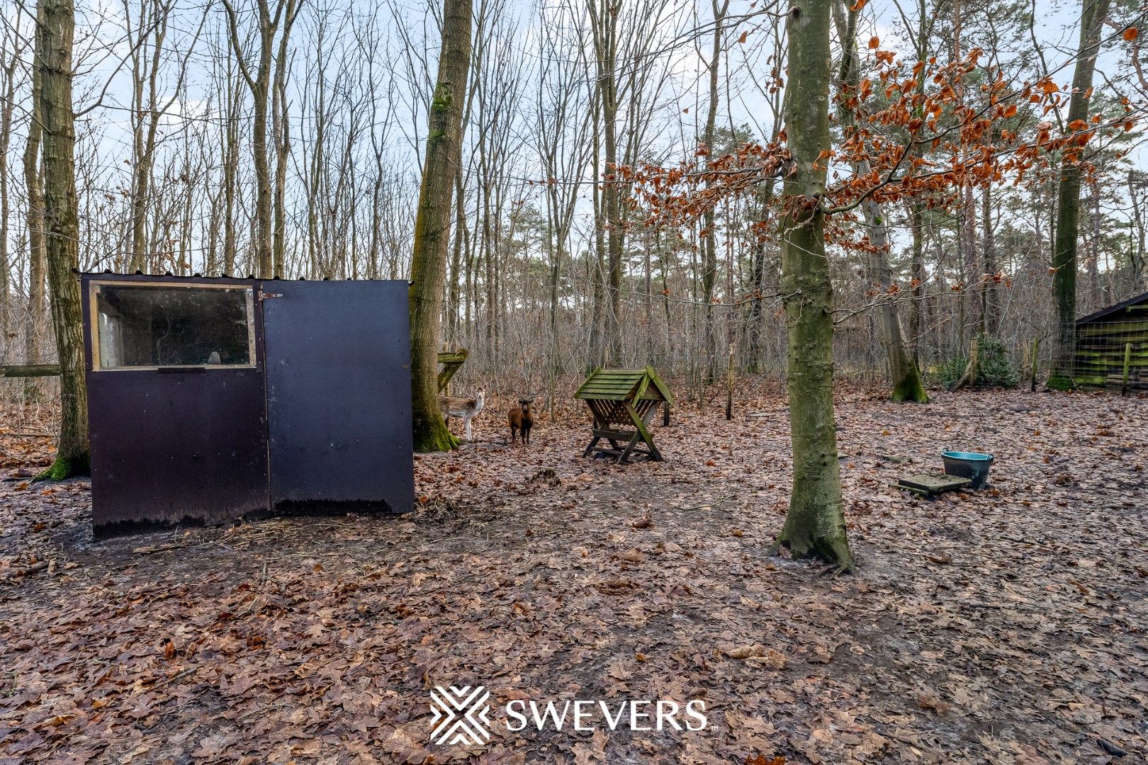 Ruime gelijkvloerse woning gelegen te Hechtel-Eksel foto 32