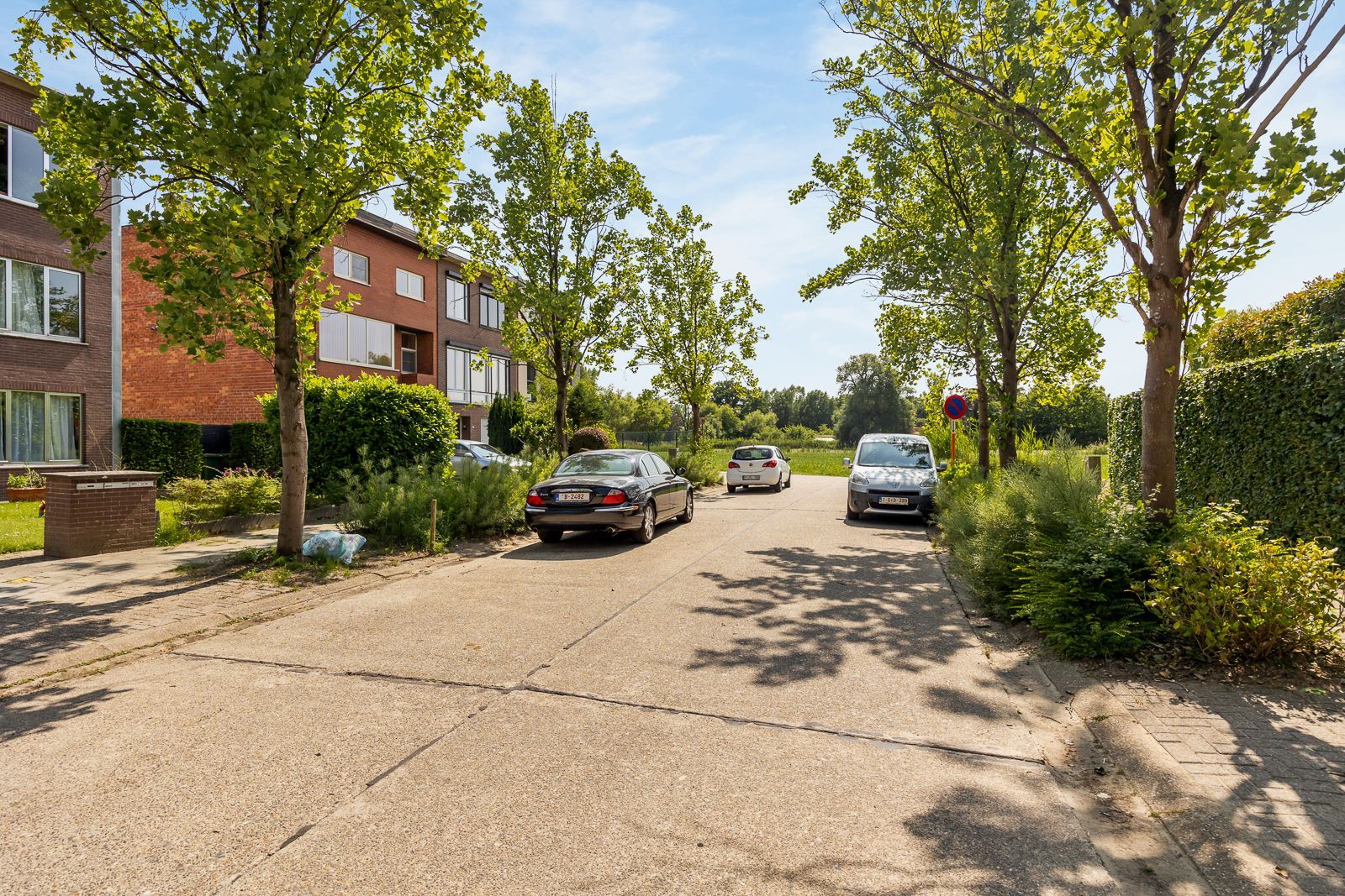 Te renoveren woning met potentieel in groene, rustige omgeving te Brasschaat! foto 20