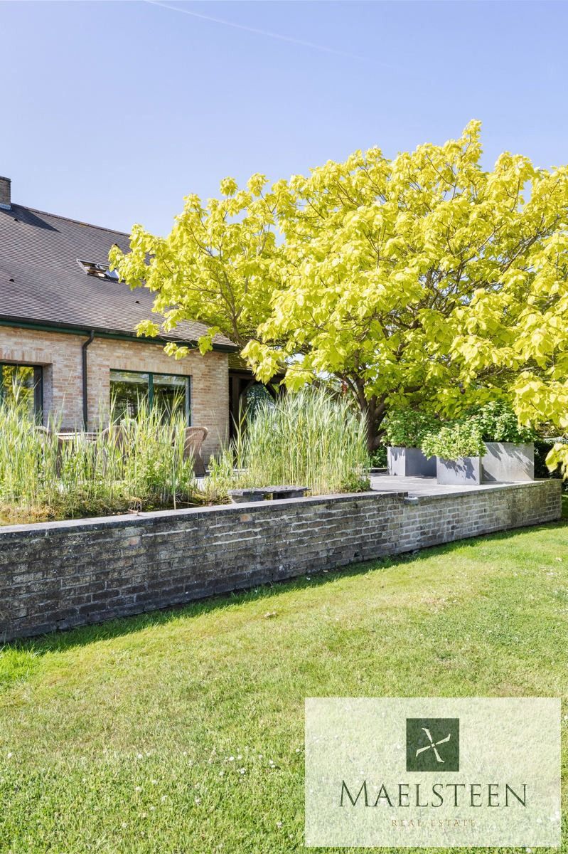 Boerderij op 1,5ha op de flank van Oedelem-berg  foto 23