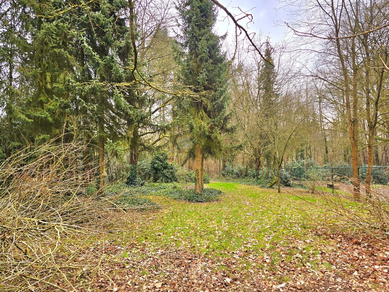 Huis te koop foto 24
