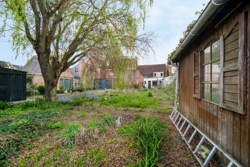 Gits :  te renoveren woning met veel potentieel op topligging.  Opp 461 m² foto 13