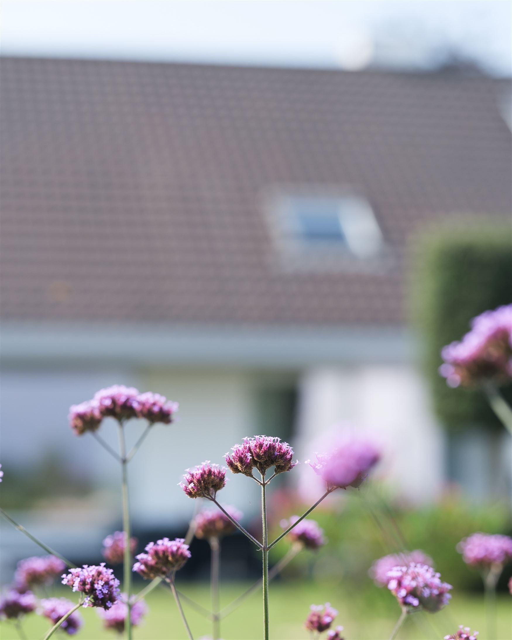 Licht, ruimte en zicht - wonen in alle comfort foto 4