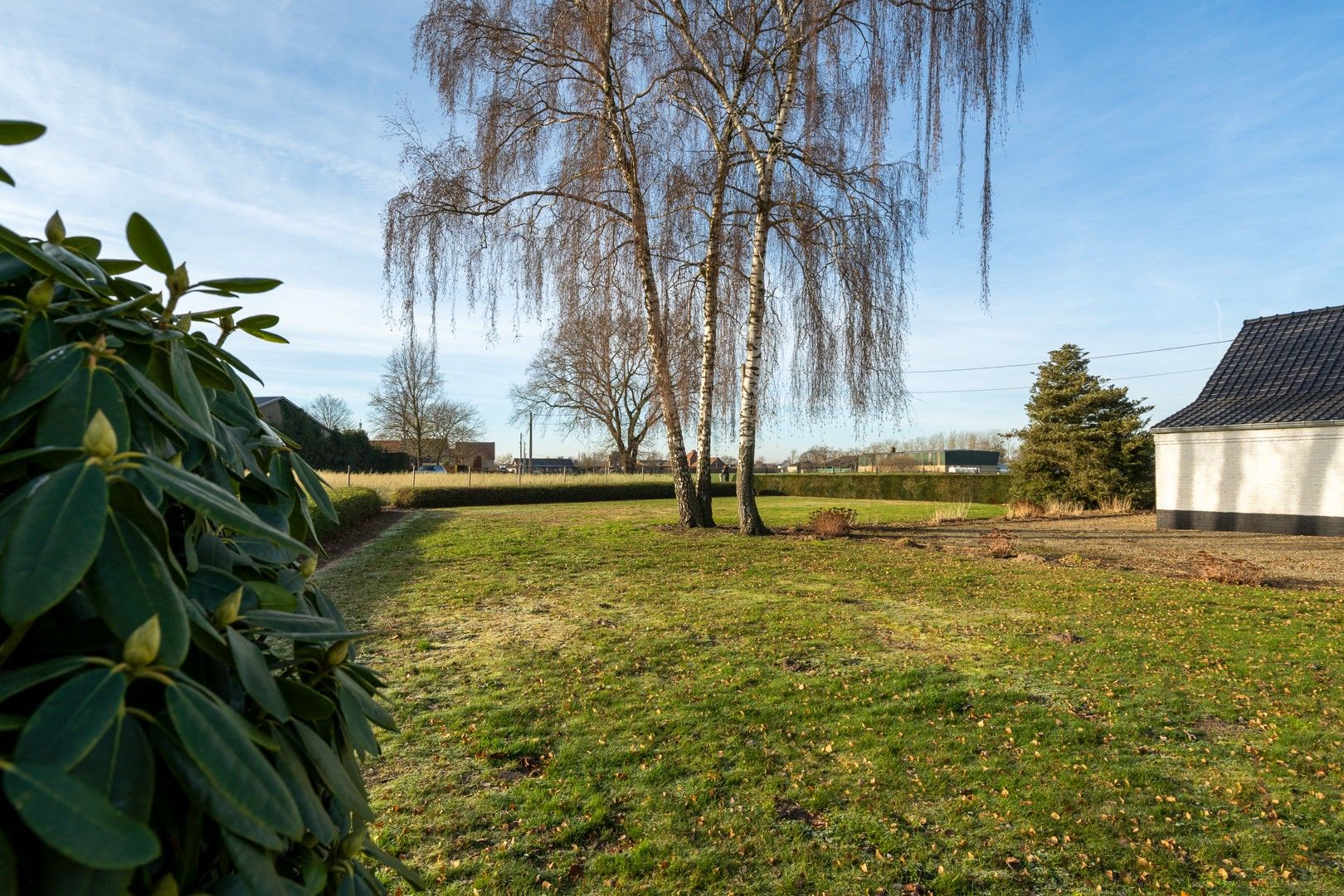 Karaktervolle langegevelhoeve met potentieel op 2.103 m², omgeven door weilanden en rust foto 18