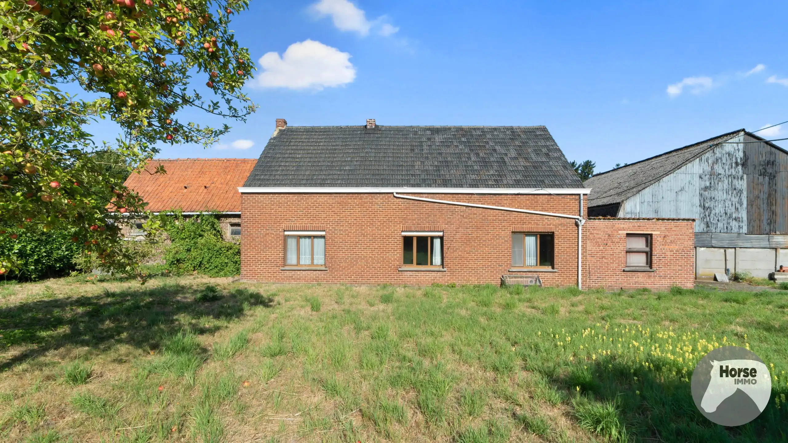 OUDENAARDE - Te renoveren hoeve +/-50are foto 13
