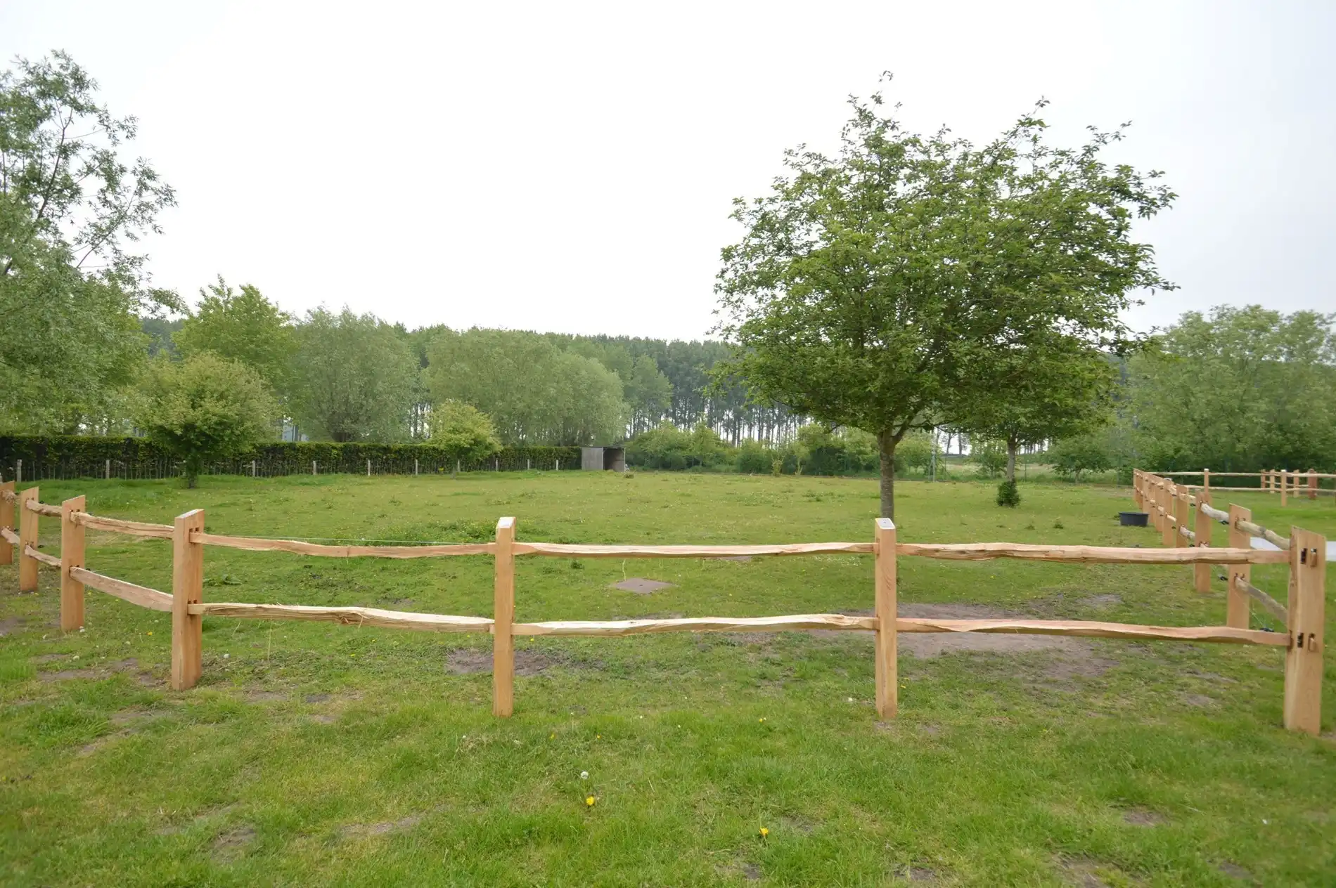 Schitterende hoeve met weilanden - Geen functiewijziging nodig foto 11