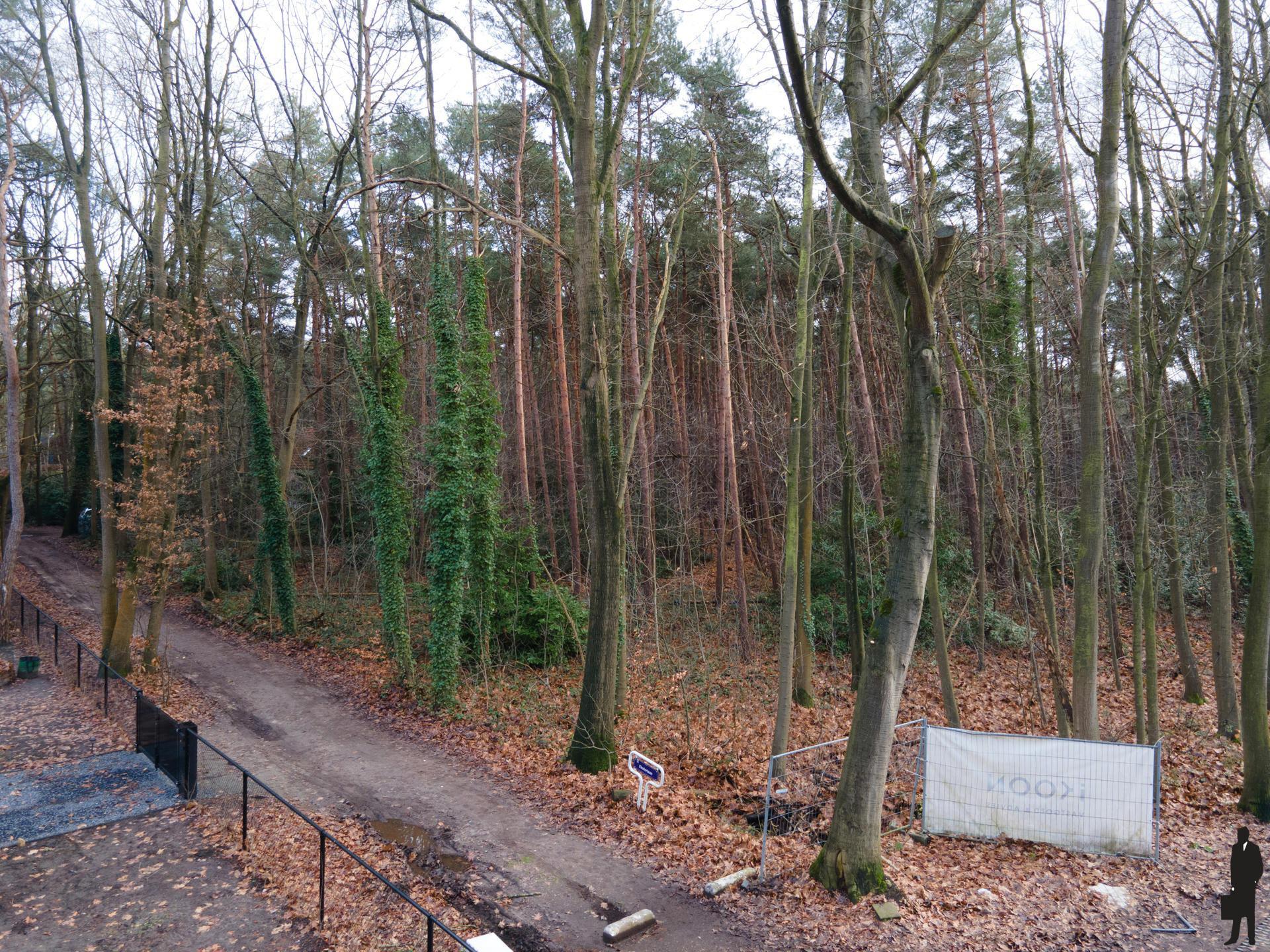 Perceel grond in bosrijke omgeving. foto 5