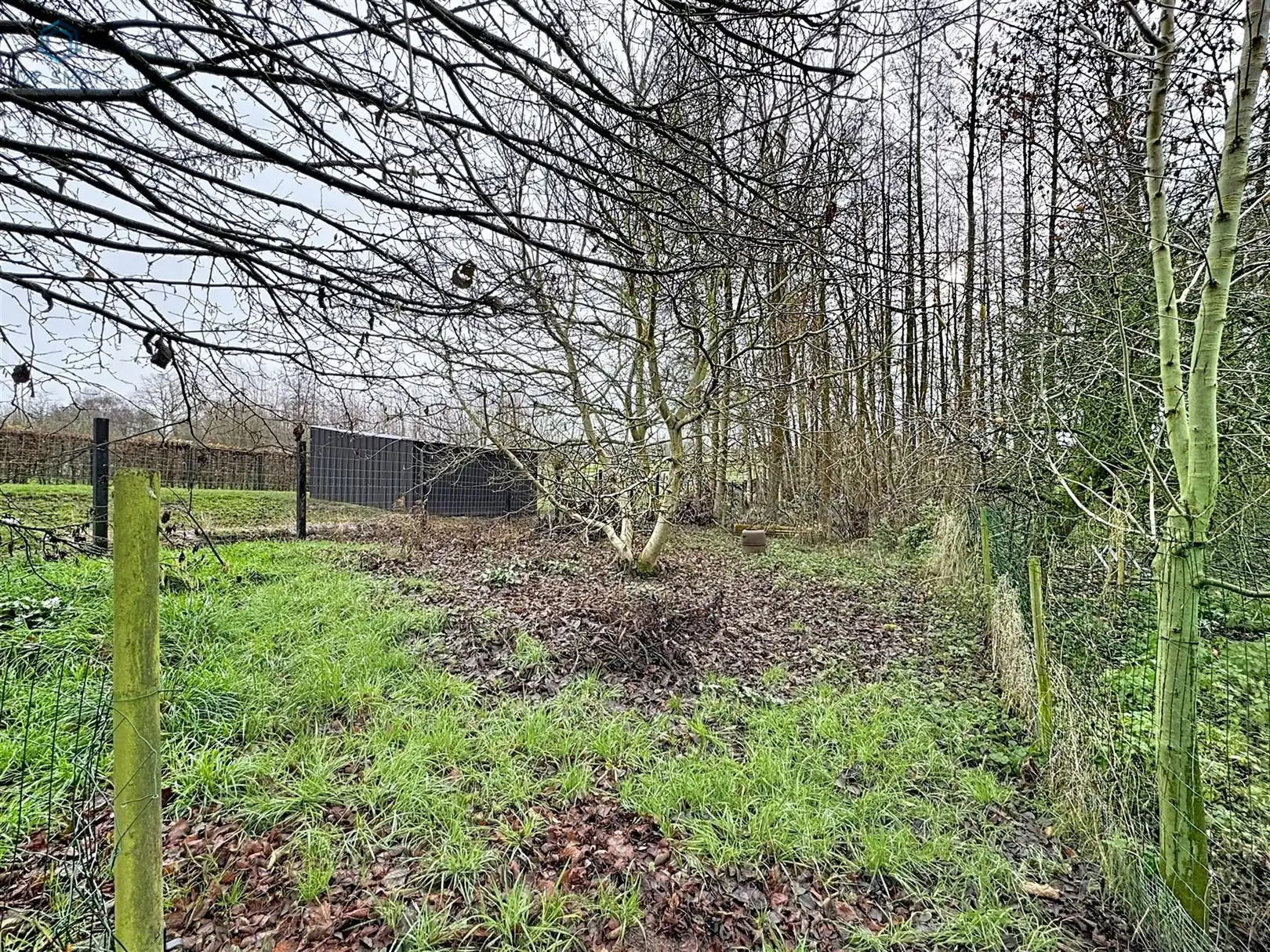 Zeer ruime woning met grote tuin, bos en landelijk uitzicht foto 22