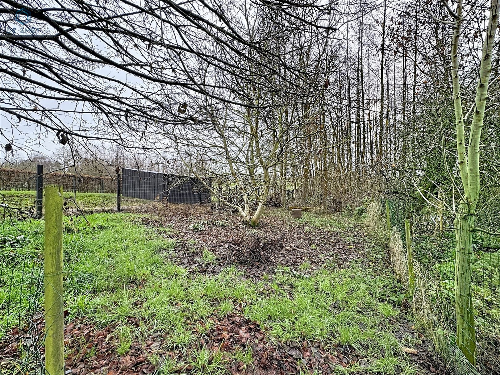 Zeer ruime woning met grote tuin, bos en landelijk uitzicht foto 22