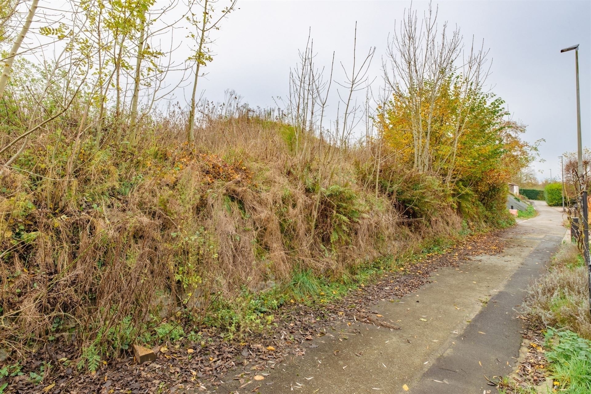 Bouwgrond te koop in Kluisbergen foto 8