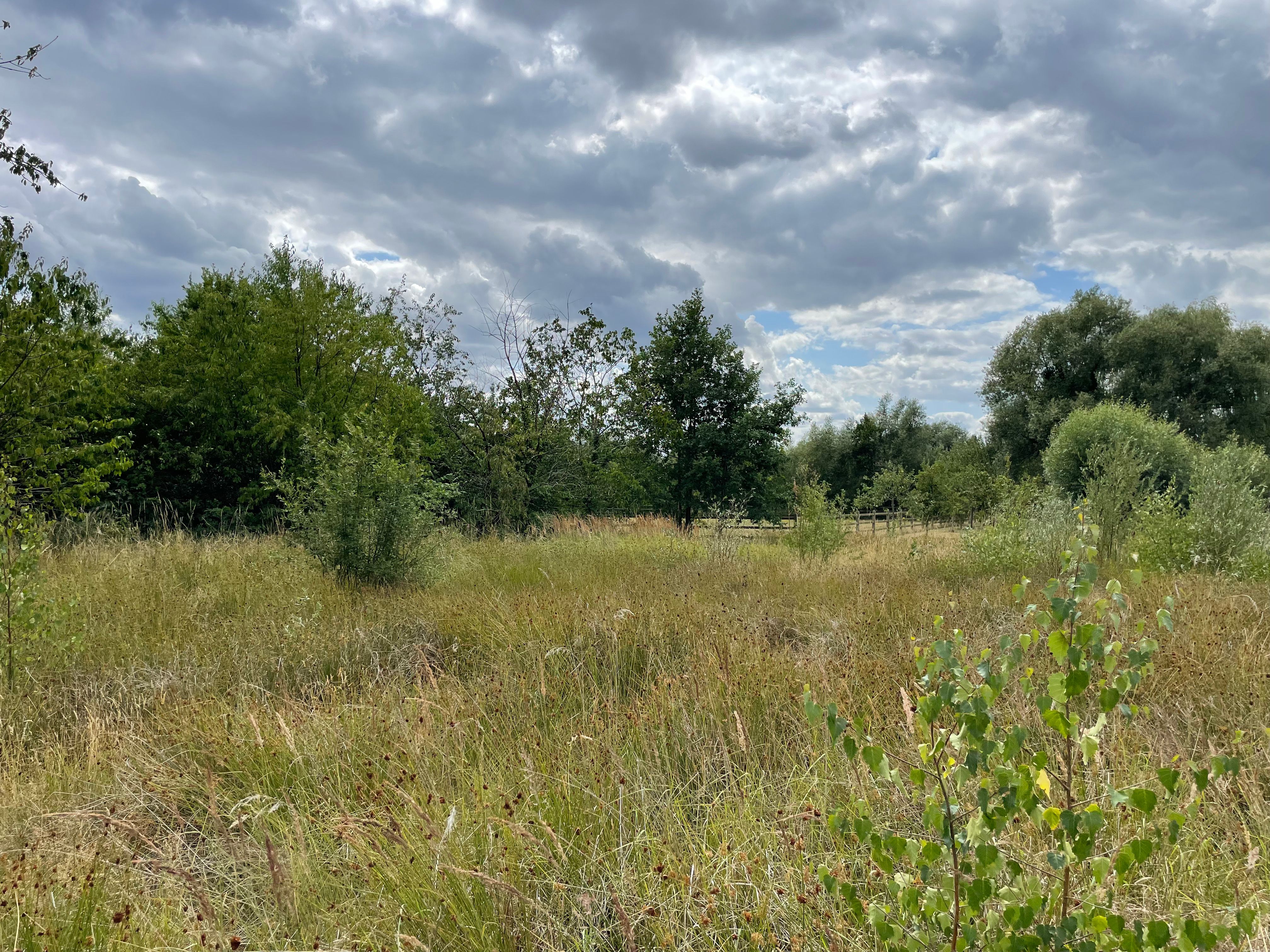 Ruime hoeve met bijgeb. 3255m² foto 9