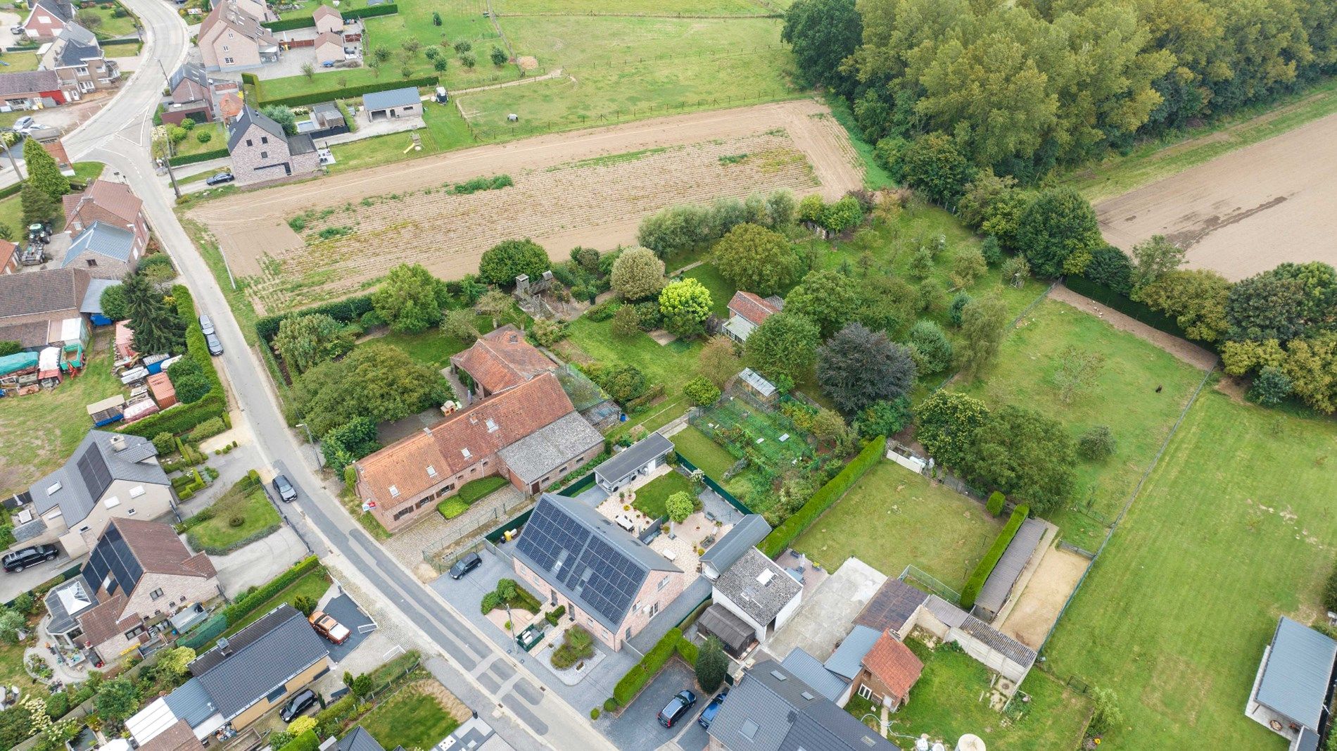 BINKOM - knappe hoeve + bouwgrond op bijna 60a foto 20