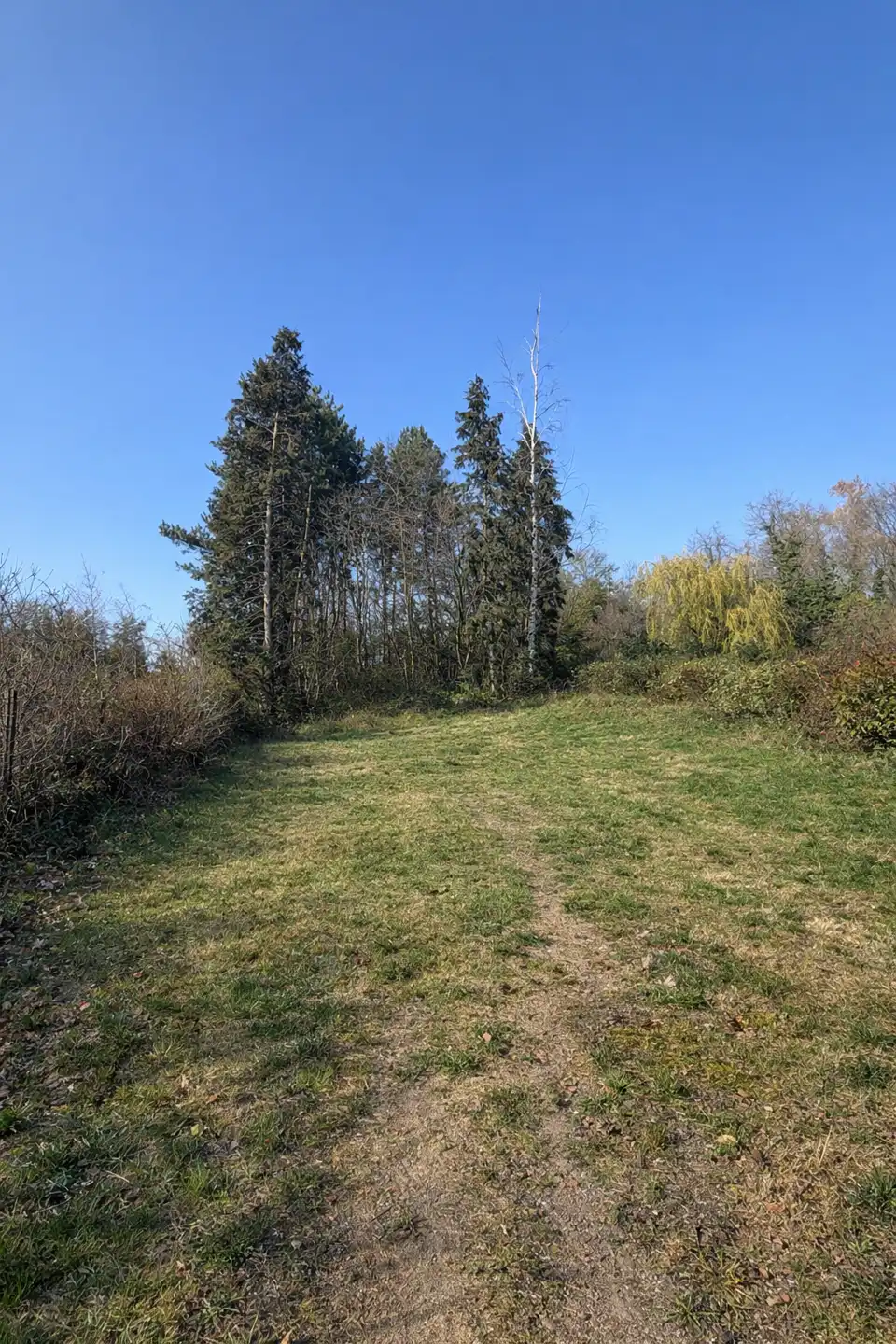 Ruim gelijkvloers appartement (geen 21% btw) foto 5