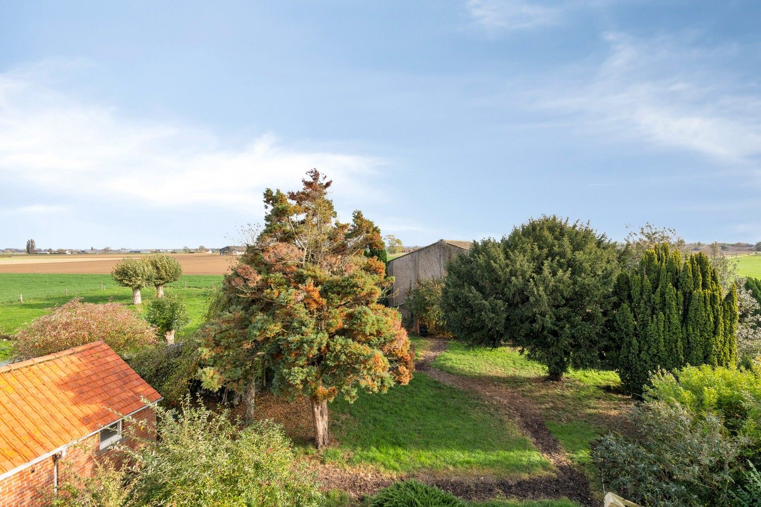 Beveren aan de IJzer: Charmant en historisch hoevetje met woonhuis, diverse stallingen, loods en weide op 3.967m² totale grondopp. foto 16