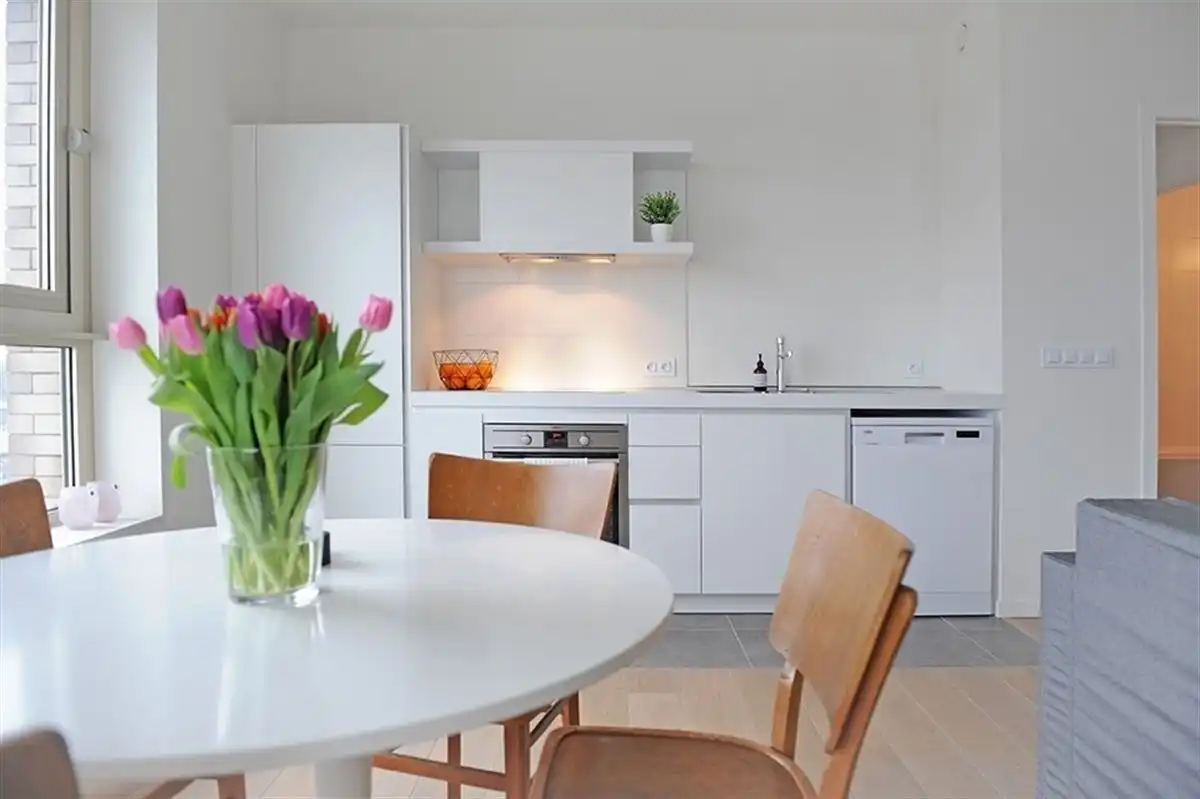 Tof 1 slaapkamer appartement met ruim terras  foto 2