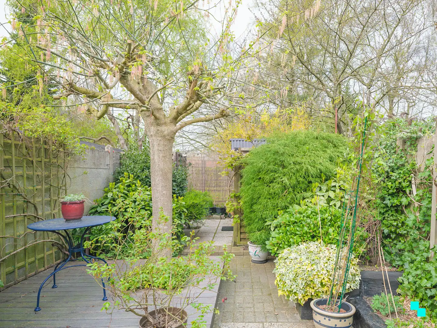 Charmante rijwoning met gezellige tuin te Gentbrugge foto 23