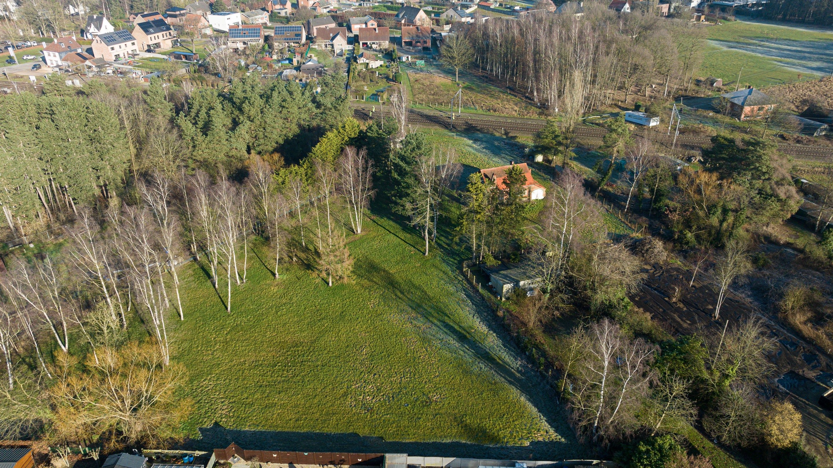 Goed gelegen te renoveren woonhuis op een perceel van 6517m2 te Halen foto 9