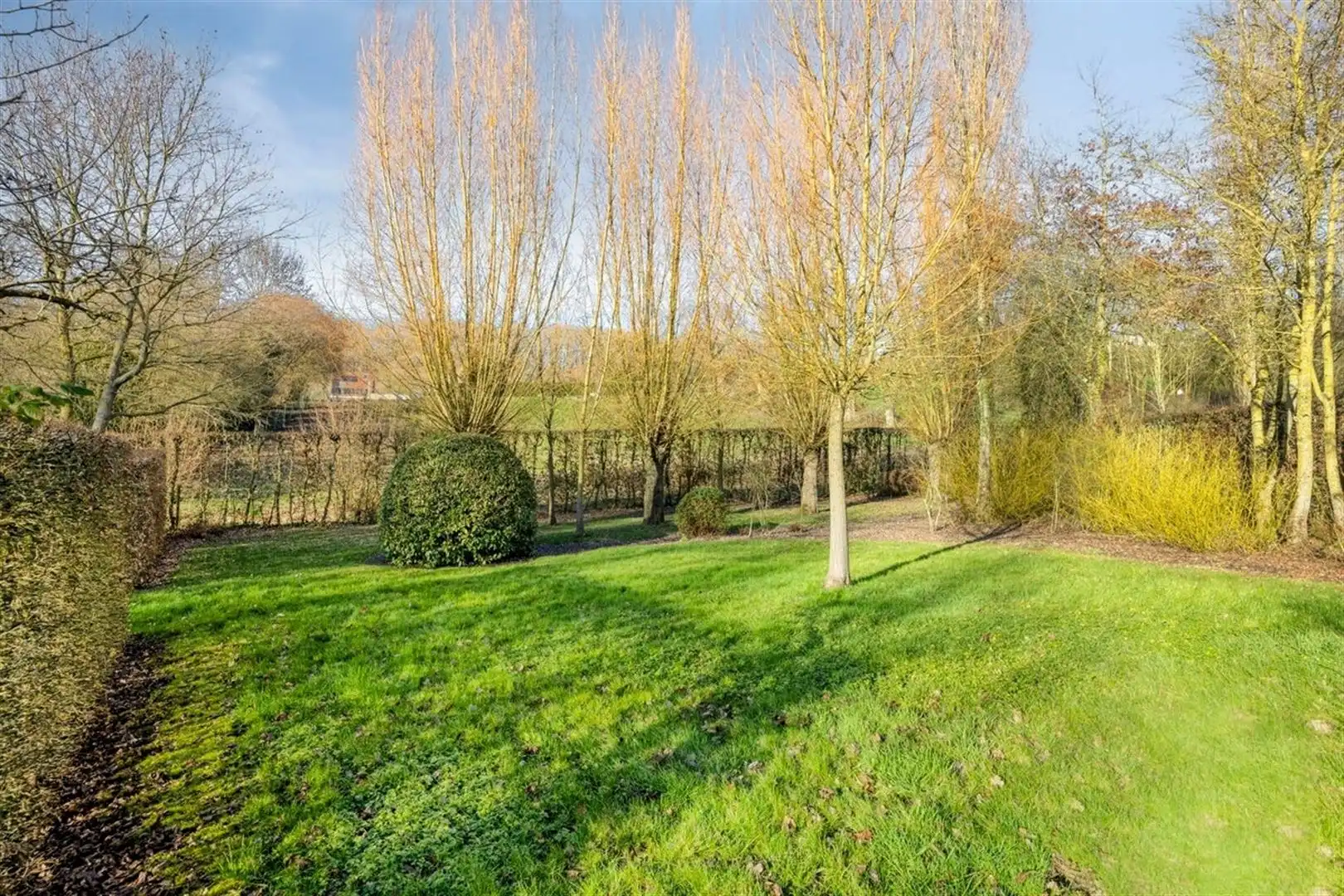 Riante villa voor vrij beroep of kantoor met woonst foto 14