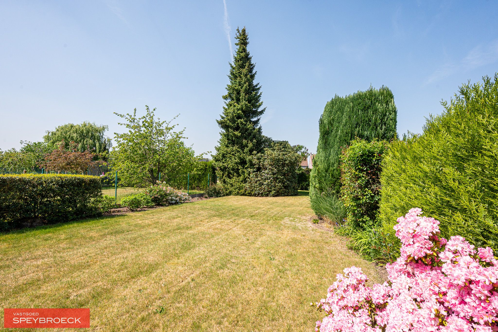 TE KOOP in Asper aan de P. Ceuterickstraat 29 foto 5