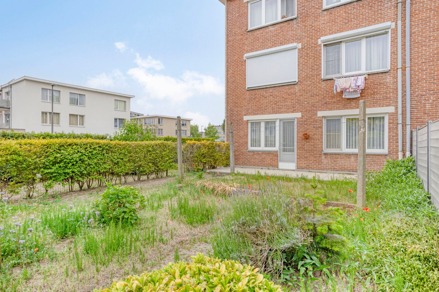 Te renoveren gelijkvloers appartement met 2 slaapkamers en tuin! foto 27