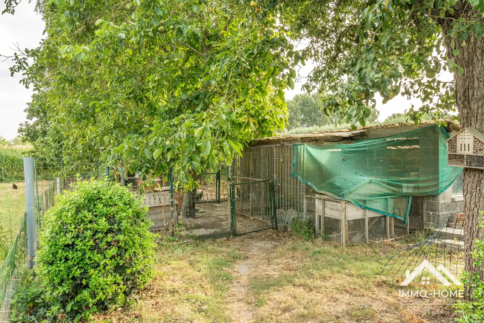 Vrijstaande woning in landelijke omgeving met veel potentieel!  foto 5