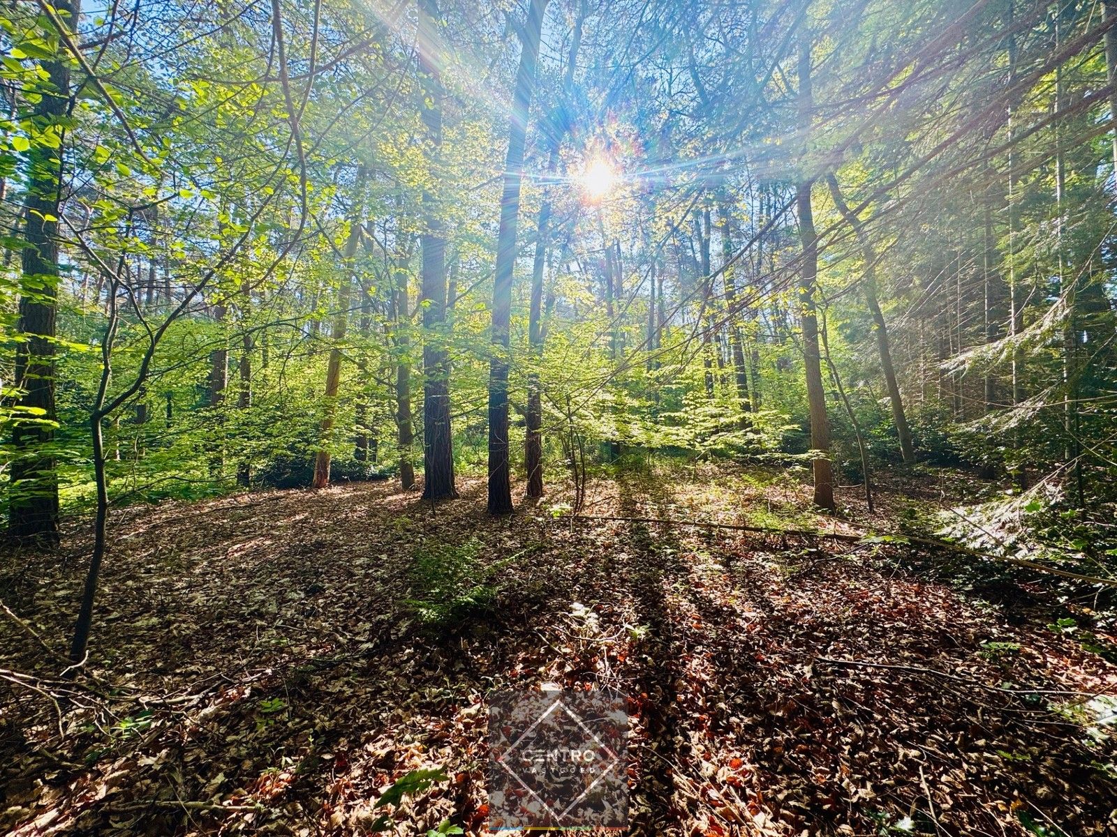 Exclusief (palend aan het Buskampveld!) perceel BOUWGROND (5.604m²) in het residentieel "WOONPARK" en BOS te Hertsberge (Oostkamp)! foto 6